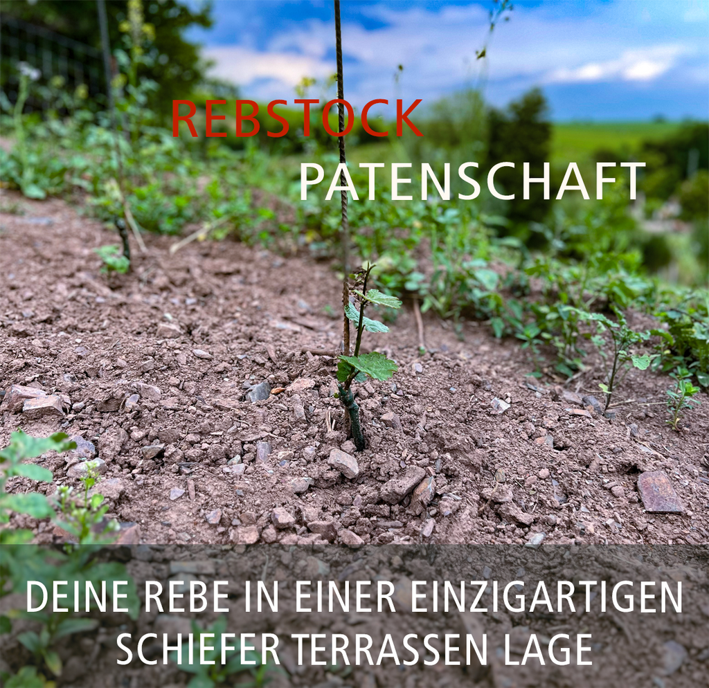 REBSTOCKPATENSCHAFT IN EINMALIGER SCHIEFERTERRASSE
