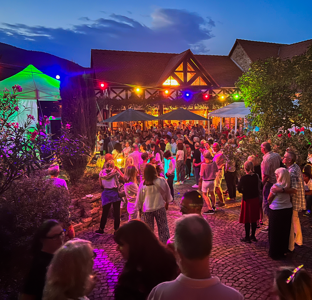 Weinfest im Weingut Meßmer  29.bis 31. August 2025