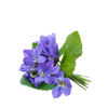 Aroma 3